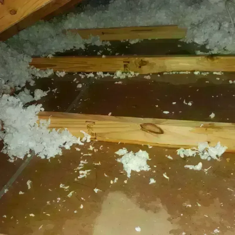 Attic Water Damage in East Florence, AL